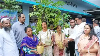 ঝিনাইগাতীতে ক্ষুদ্র নৃগোষ্ঠীর মাঝে চারা বিতরণ, নিজ হাতে বৃক্ষরোপণ জেলা প্রশাসকের