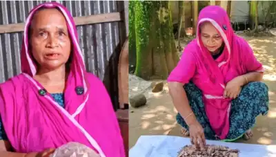 ১০ বছরের সঞ্চয় জর্দার কৌটায়, খুলতেই মিলল ছেঁড়া-ঝাঁঝরা টাকা