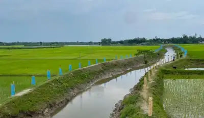 নকলায় খাল পুনঃখননে বদলে গেল কৃষকের ভাগ্য
