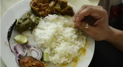 মাছে-ভাতে বাঙালির খাবারের পাতে বদল, দুই দশকে ভাত খাওয়া কমেছে ২৫ শতাংশ