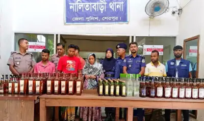শেরপুরের নালিতাবাড়ীতে ২৫০ বোতল ভারতীয় মদসহ ৪ জন গ্রেপ্তার