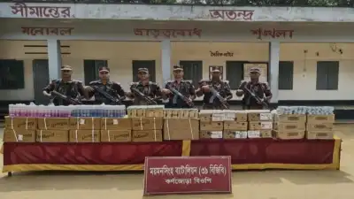 শ্রীবরদী সীমান্তে বিজিবির অভিযানে ১১ লাখ টাকার ভারতীয় প্রসাধনী জব্দ