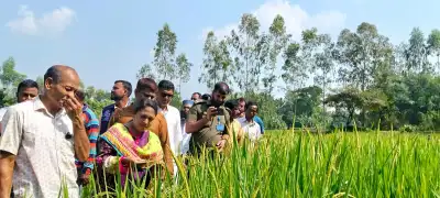 মাটির টানে, উদ্ভাবনের শক্তিতে—শেরপুরের কৃষিতে অনন্য অবদান সেন্টু কুমার হাজংয়ের