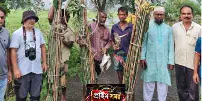 নকলায় পাখি শিকারবিরোধী বিশেষ অভিযান, উদ্ধার ১০ বক